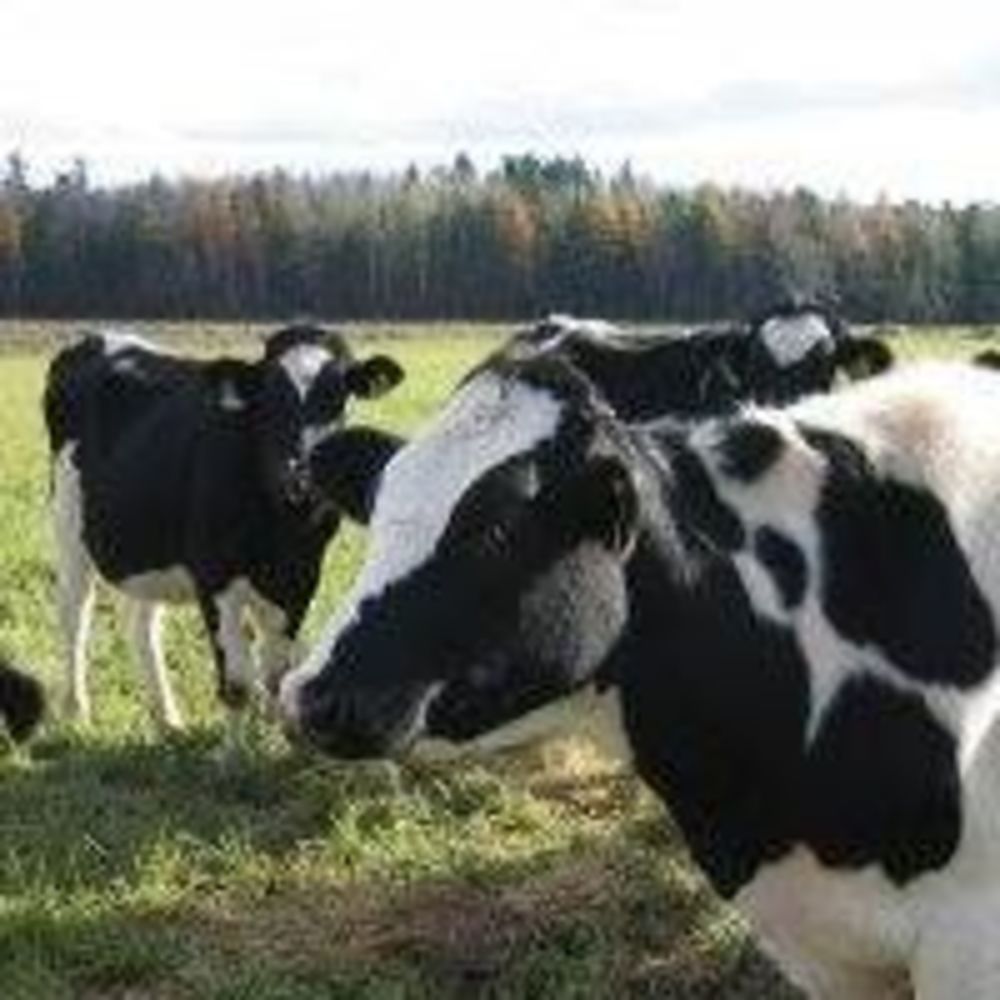 Meet your Posher, Trinda